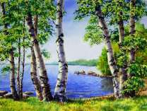 Берег красивого озера