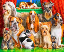 Разнопородистые собаки