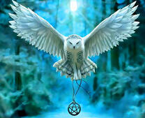 Белый филин с талисманом