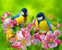 Синички и бабочка в весеннем цвету