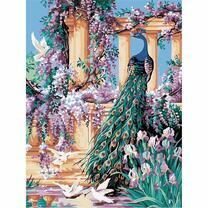 Павлин с шикарным хвостом