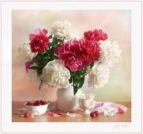 Бело-малиновые цветы и черешня