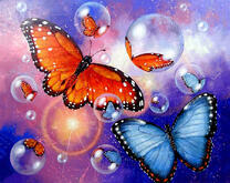 Цветные бабочки на фоне солнца