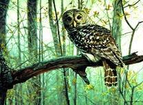 Филин в осеннем лесу