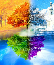 Дерево отражающее четыре времени года