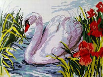 Белый лебедь и красные ирисы