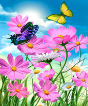 Две бабочки на полевых цветочках