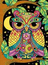 Яркая сова на ветке под луной