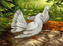 Белые голуби на камне