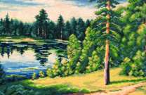 Берег озера в сосновом лесу