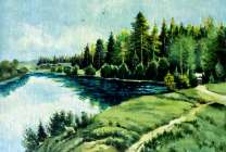 Вид с берега на озеро и сосновый лес