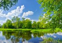Летнее озеро