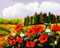 Полевые цветочки на лугу