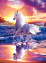 Белый конь на песчаном пляже