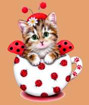 Кошка в украшениях