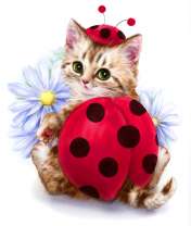 Кошка в костюме Божей коровки