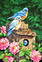 Синие птички в кустах цветущей розы