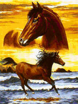 Молодой скакун у морского прибоя