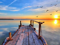 Птицы над озером