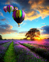 Четыре воздушных шара над лавандовым полем