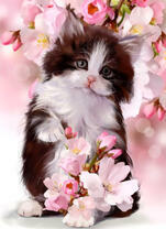 Пушистый котёнок под цветущей веткой