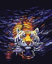 Тигр переплывает реку