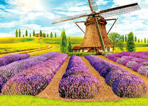 Большая мельница в лавандовом поле