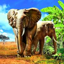 Два больших слона