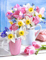 Нежные нарциссы и тюльпаны