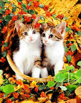 Два котёнка в корзинке и ягоды