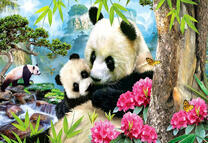 Большие панды и яркие цветы