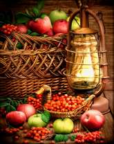 Богатый осенний урожай