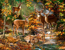 Стадо оленей у осеннего ручья в лесу