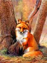 Пушистая лисичка у корней дерева