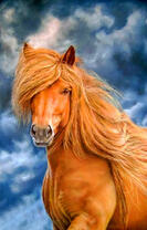 Рыжая лошадь на фоне голубого неба