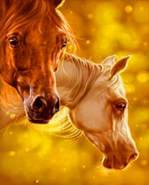 Пара лошадей в солнечном свете