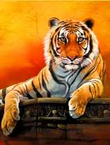 Большой тигр на фоне желтого неба