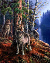Большие волки и осенний лес