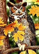 Филиин в осенних листьях дерева