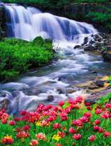Красочный водопад и полянка цветов