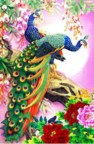 Весенние цветы и пара павлинов на ветке