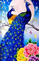 Пара павлинов и розы на фоне полной луны