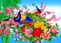 Весенние цветы и два павлина на ветке