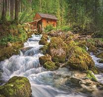 Водяная мельница на бурной реке в лесу