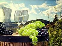 Виноград и вино на бочке