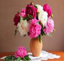 Букет из ярких пионов