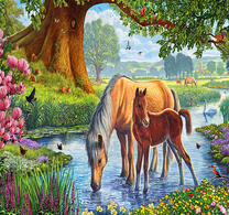 Мама и жеребенок на водопое у реки