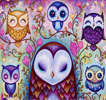 Совы на отдыхе