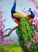 Пара ярких павлинов в окружении цветов