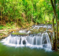 Сказочный водопад в лесу